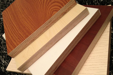 ��(sh��)ľ���Ӱ� 